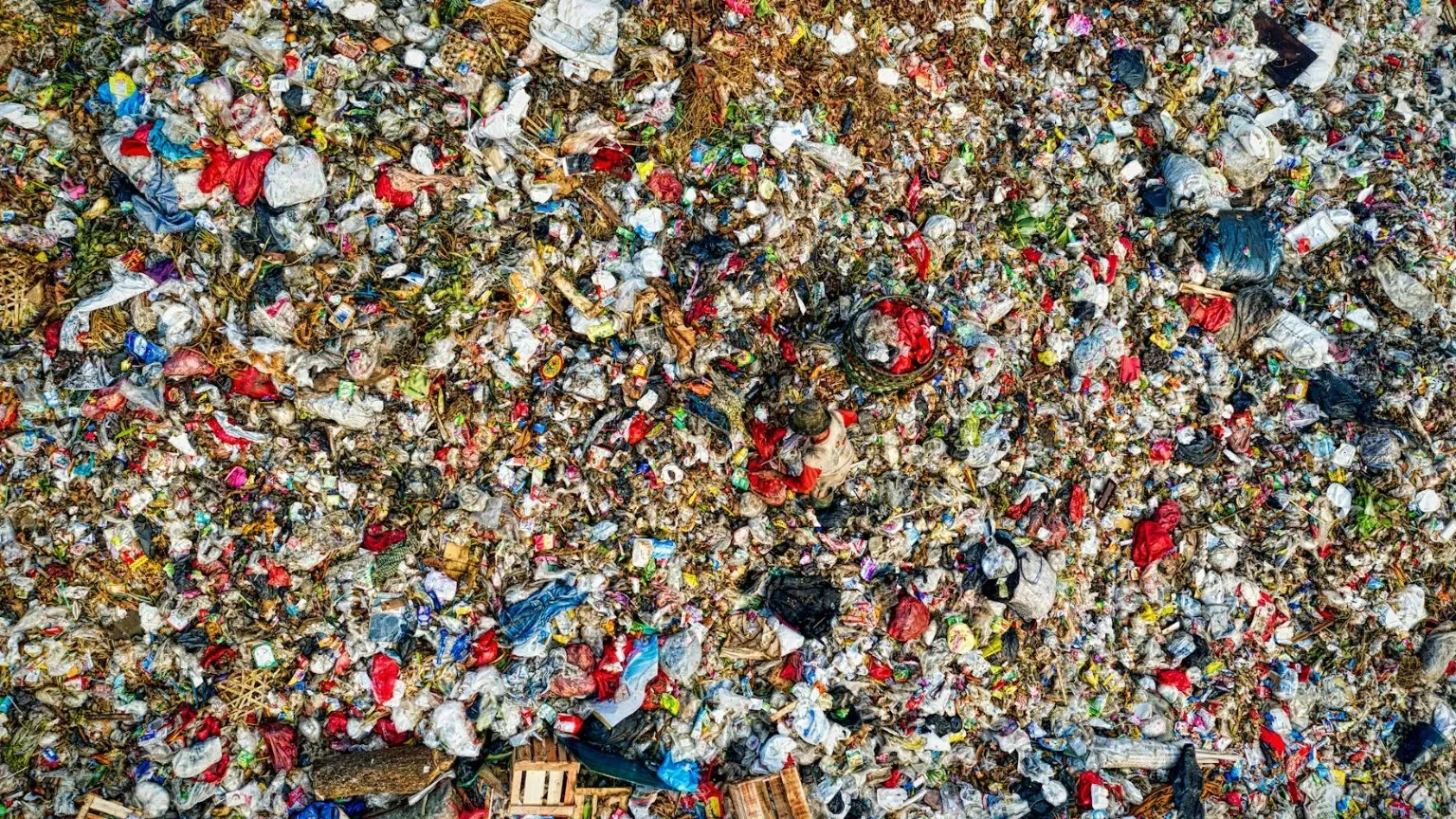 Pulizia dei contenitori marroni dell'umido - calendario per l'anno 2024