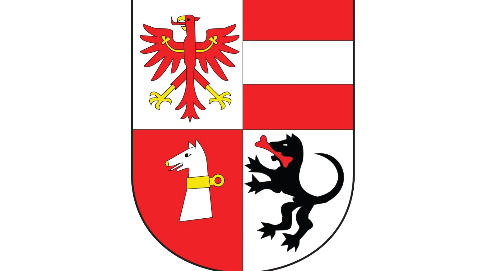 Elenco Carta dedicata a te 2025